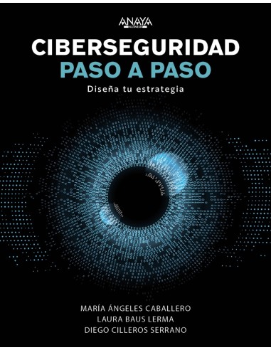 Ciberseguridad paso a paso