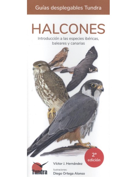 HALCONES GUIAS DESPLEGABLES TUNDRA