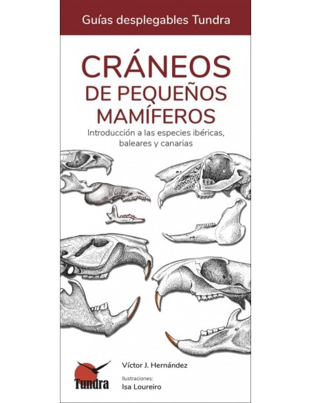 CRANEOS DE PEQUENOS MAMIFEROS GUIAS DESPLEGABLES TUNDRA