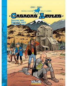 CASACAS AZULES 2011 2013