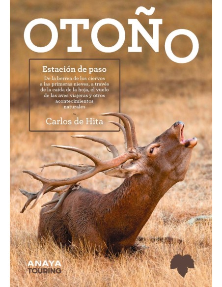 OTONO Estacion de paso