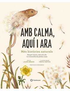 Amb calma aqui i ara
