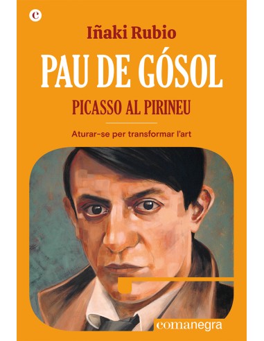 Pau de Gosol Picasso al Pirineu