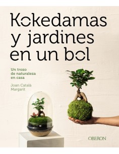 Kokedamas y jardines en un bol