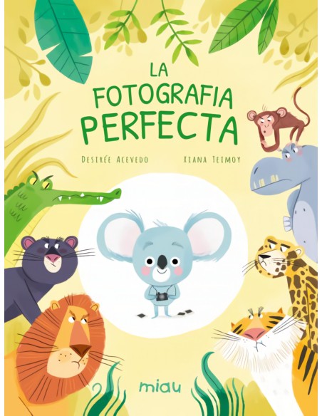 La fotografia perfecta