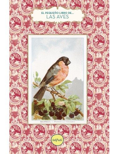 El pequeno libro de las aves