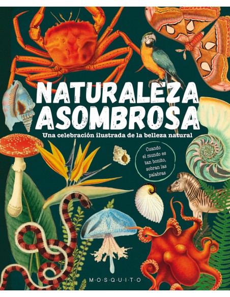 Naturaleza asombrosa Naturaleza asombrosa
