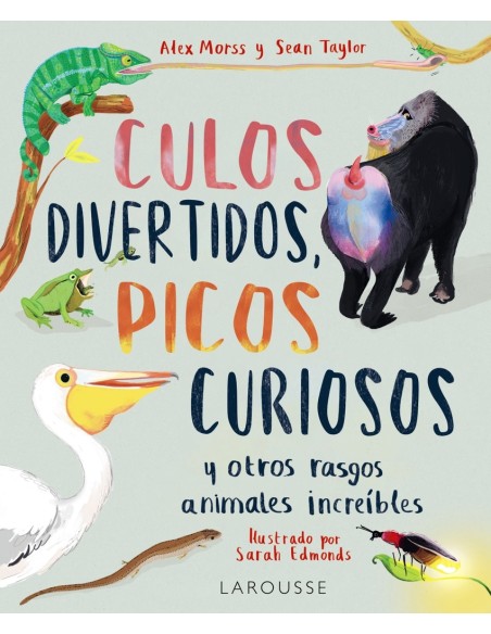 Culos divertidos picos curiosos
