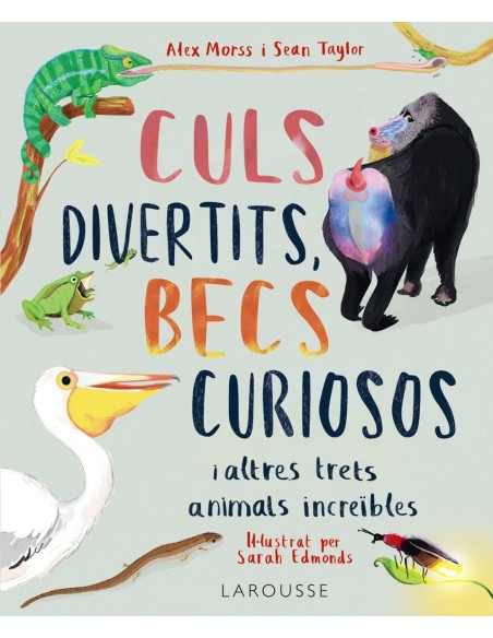 Culs divertits becs curiosos