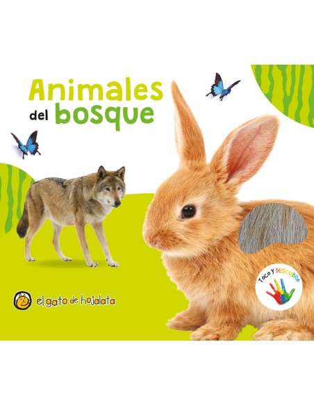 Animales del bosque