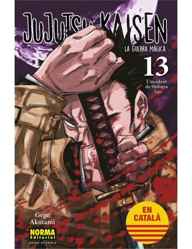 JUJUTSU KAISEN 13 CATALA