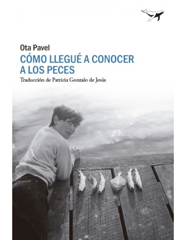 Como llegue a conocer a los peces