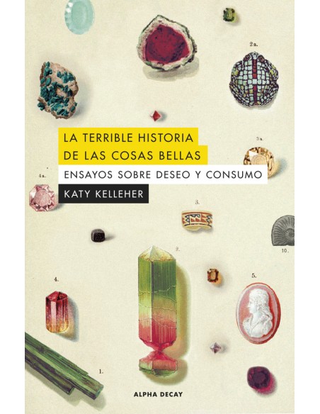 La terrible historia de las cosas bellas