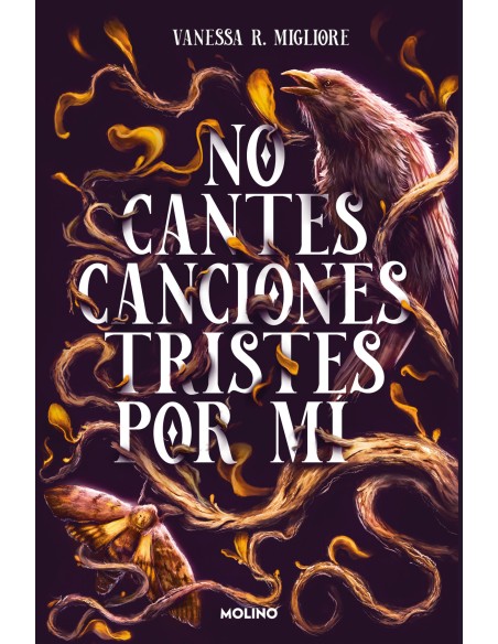 No cantes canciones tristes por mi