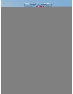 ANGEL WINGS 08 ANYTHING GOES