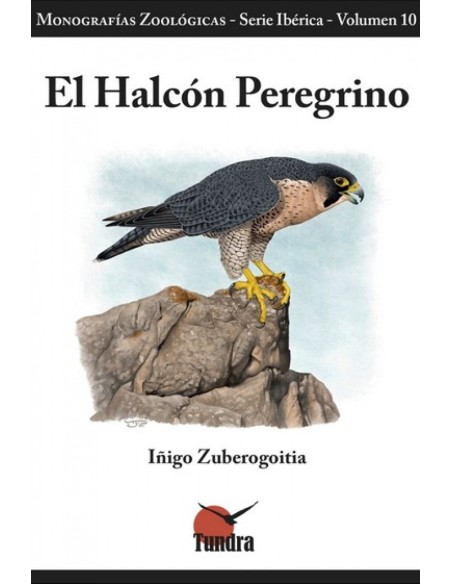 EL HALCON PEREGRINO