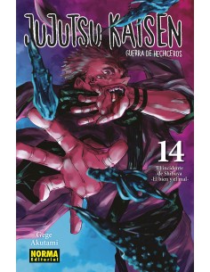 JUJUTSU KAISEN 14 NUEVA EDICION