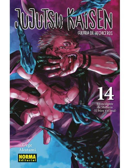 JUJUTSU KAISEN 14 NUEVA EDICION