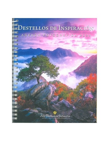 DESTELLOS DE INSPIRACION 2024