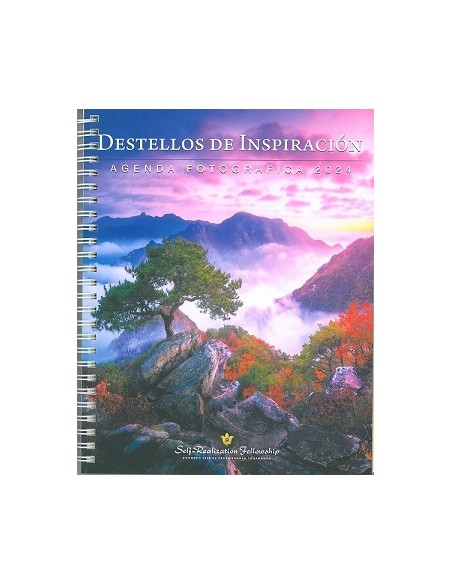 DESTELLOS DE INSPIRACION 2024