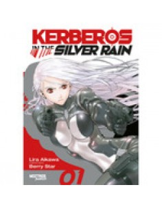 Kerberos in the Silver Rain