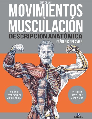 Guia de los movimientos de musculacion Descripcion anatomica