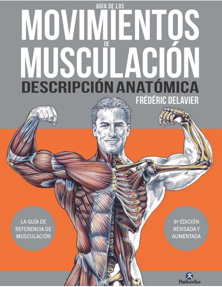 Guia de los movimientos de musculacion Descripcion anatomica