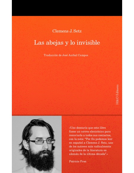 Las abejas y lo invisible