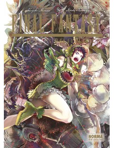 FINAL FANTASY LOST STRANGER 09