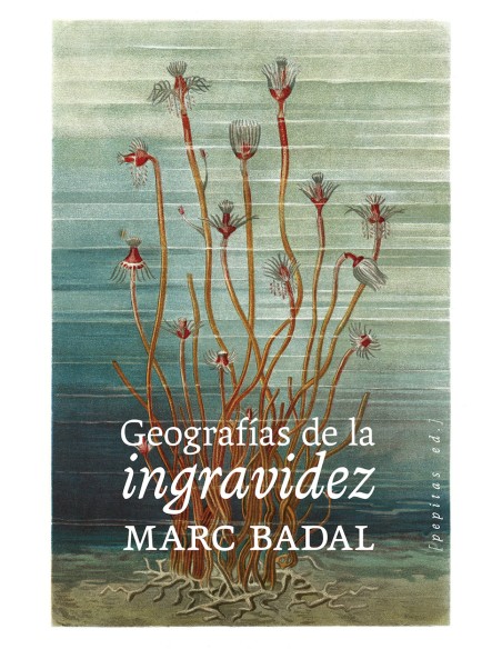 Geografias de la ingravidez