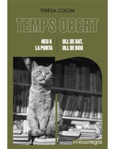 Neu a la porta Ull de gat ull de bou