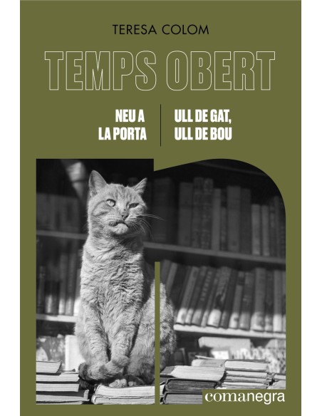 Neu a la porta Ull de gat ull de bou