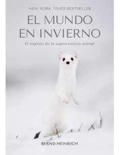 El Mundo en Invierno