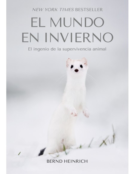 El Mundo en Invierno