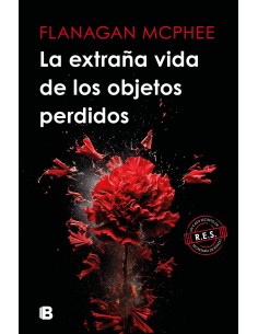 La extrana vida de los objetos perdidos
