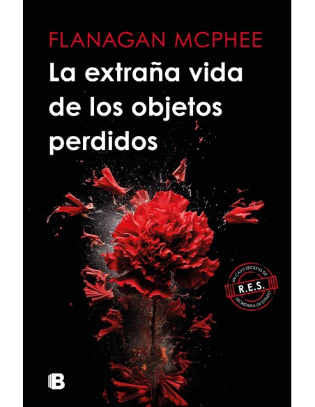 La extrana vida de los objetos perdidos