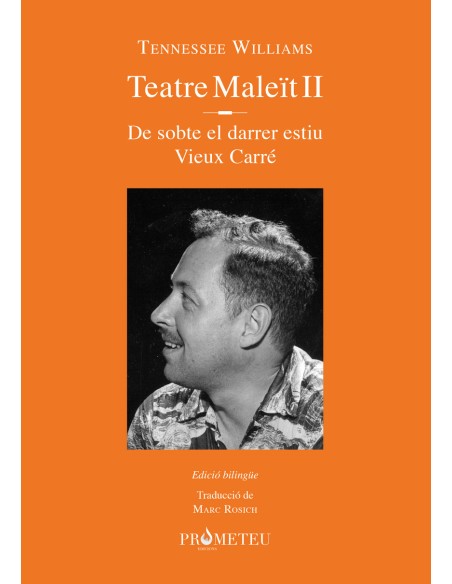 Tennessee Williams Teatre maleit II