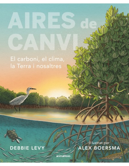 Aires de canvi