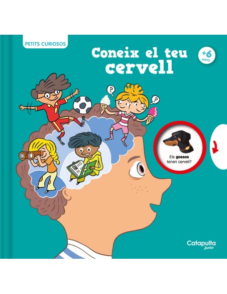 Petits curiosos Coneix el teu cervell