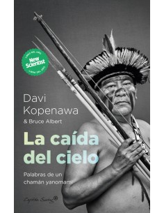 CAIDA DEL CIELO LA
