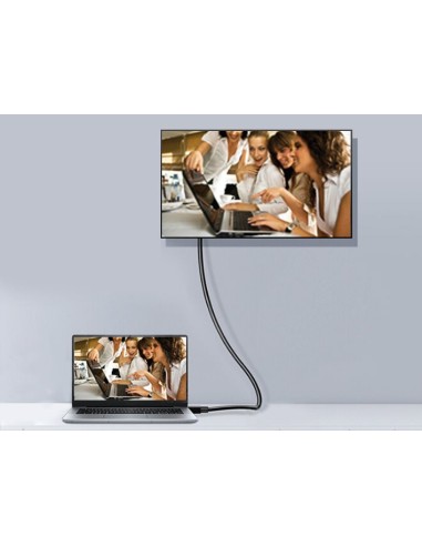 119253 cable DisplayPort 3 m Negro