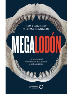 Megalodon