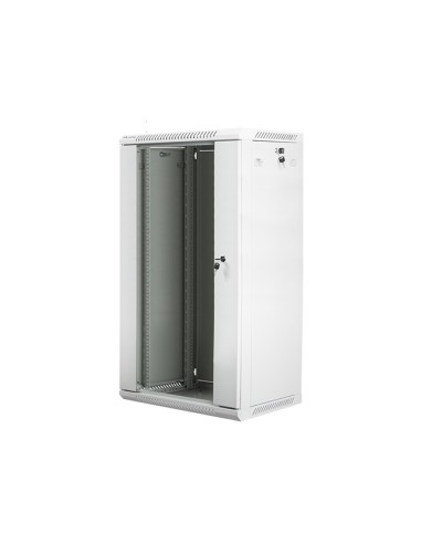 WF01-6422-10S armario rack 22U Bastidor de pared Gris