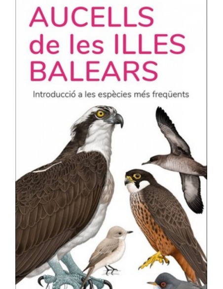 AUCELLS DE LES ISLES BALEARS