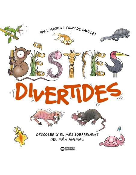 Besties divertides
