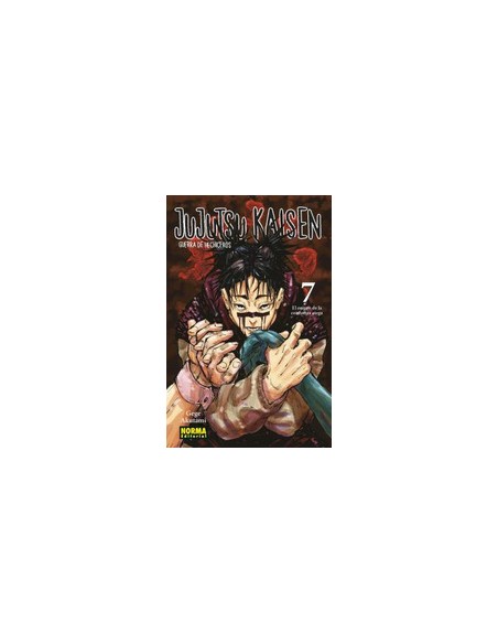 JUJUTSU KAISEN 07 NUEVO PVP