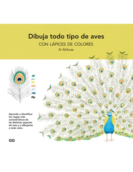 Dibuja todo tipo de aves con lapices de colores