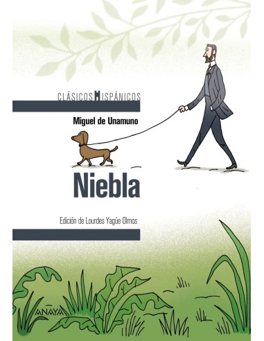 Niebla