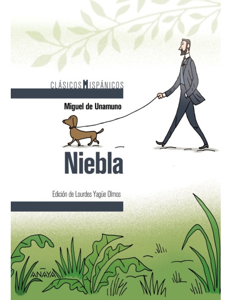 Niebla