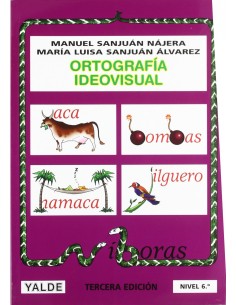 Ortografia ideovisual nivel 6